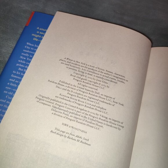 Book A Winter in New York Josie Silver Bestseller Novel Fiction BOTM Dec 2023 - Picture 5 of 8